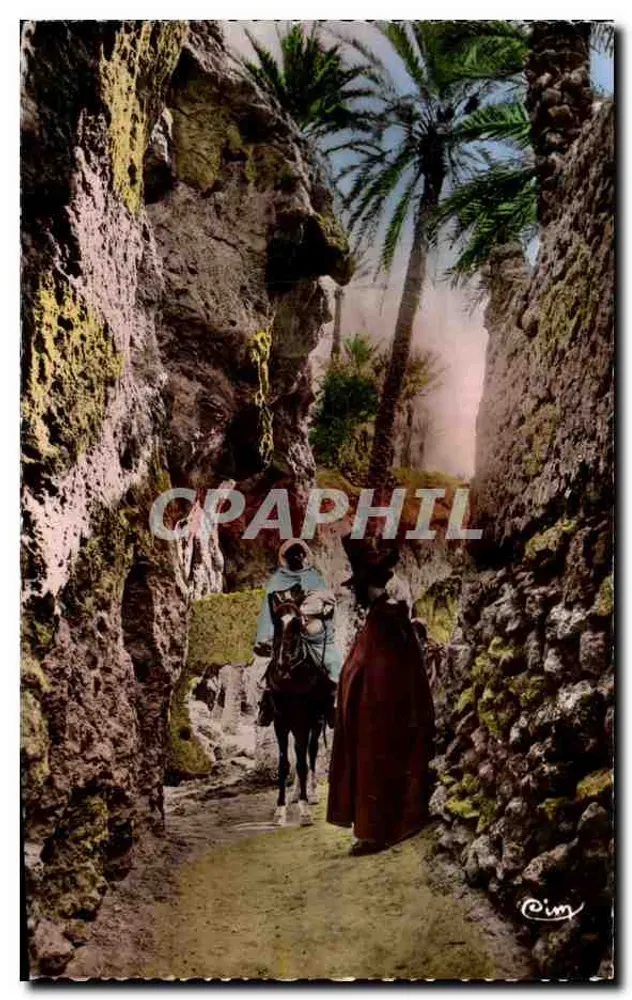 Na Oasis — Coleção Artística « África de Ouro » — Imp. R. Prud'homme - Frente