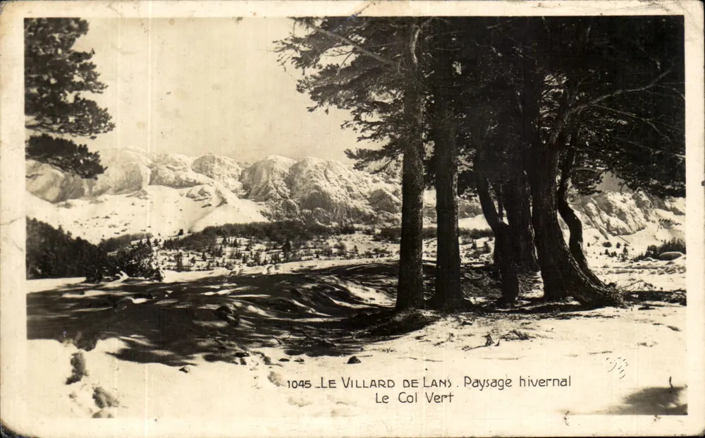 Le Villard de Lans — Winterlandschaft — Edition La Cigale, Grenoble, n° 1045 - Vorderseite