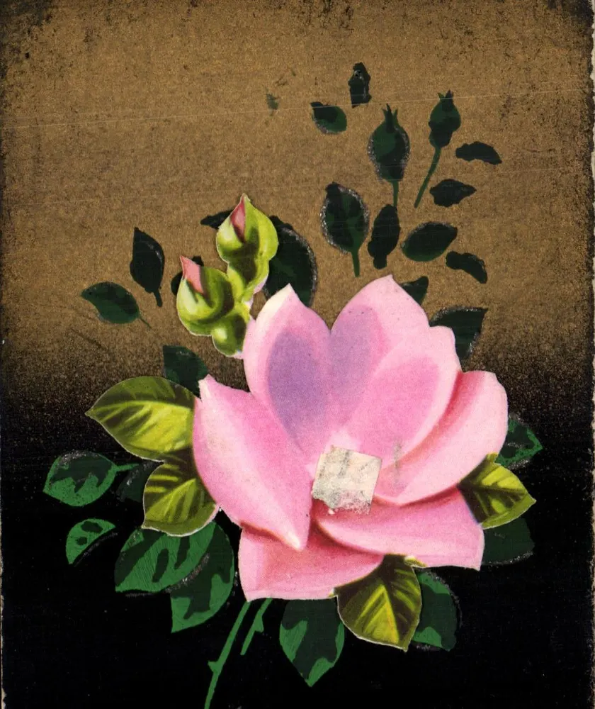 Fleur de rose rose — composition florale sur fond bicolore — éditeur PARIS 130 - Frente