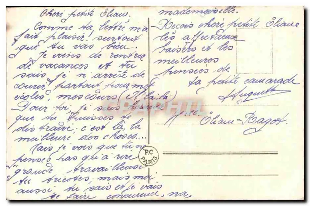 फूलों का बौक्स — रंगीन एनीमोन — एडिटर अदृश्य - पीछे