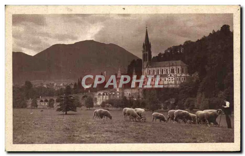 Die Basilika. Ansicht vom Feld der Grotte — Lourdes — Edition Lourdes, Nr. 26 - Vorderseite