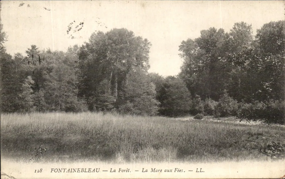 Fontainebleau — Der Wald — Das Fabelwasser — LL. — Nr. 128 - Vorderseite