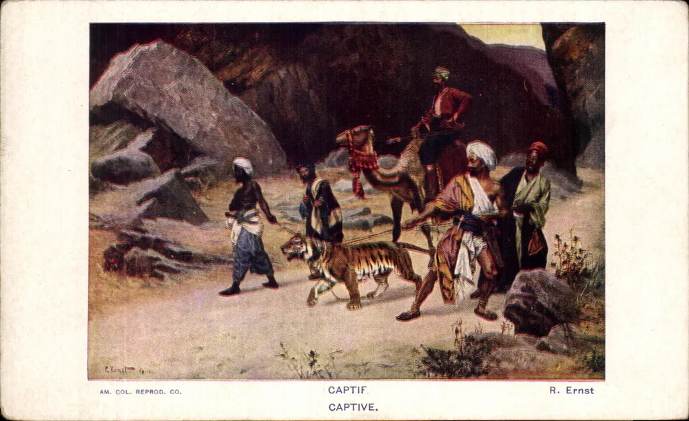 Tigre preso — cena do deserto — AM. COL. REPROD. CO. n° 191 - Frente