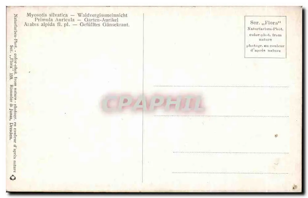 Arranjo de flores — natureza morta — Série 'Flora' n°159, Rümmer & Jena, Dresden - Verso