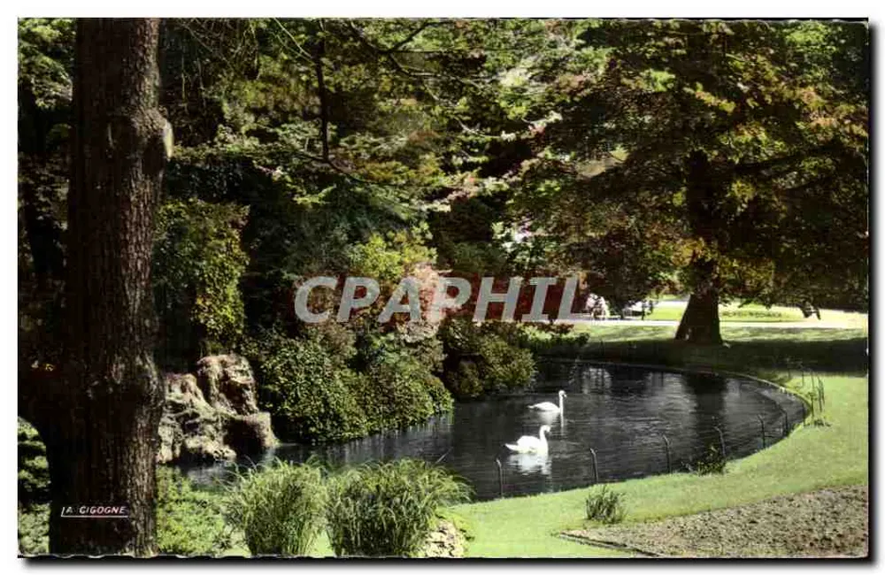Die Schwäne im Solférino-Garten — Rouen (Seine-Maritime) — Editions aux Ours - Vorderseite