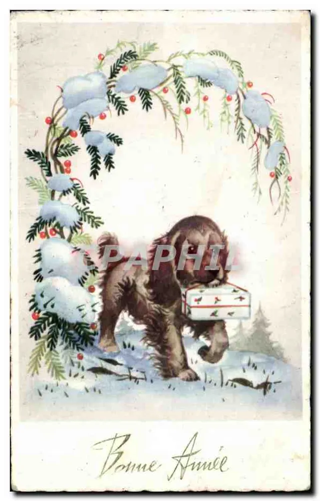 Cachorro com presente — decoração de galhos nevados — série n°3805, editor M. D. Paris - Frente