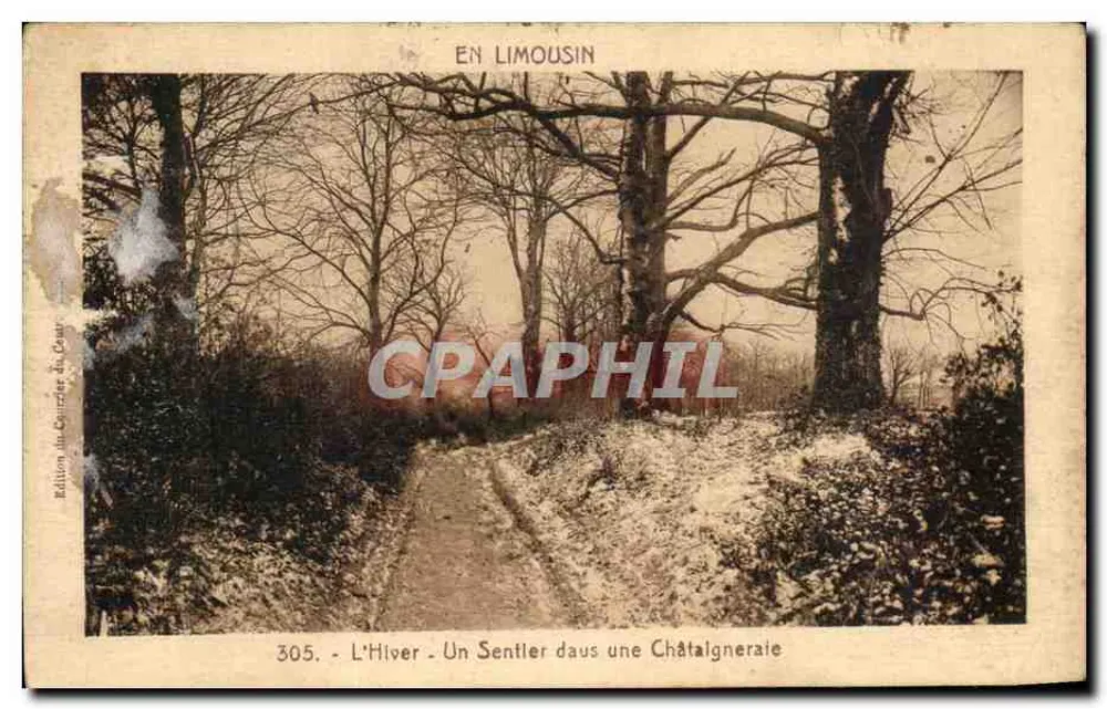L'Hiver - Un Sentier dans une Châtaigneraie — En Limousin, édition du Courrier du Cour, n° 305 - Recto