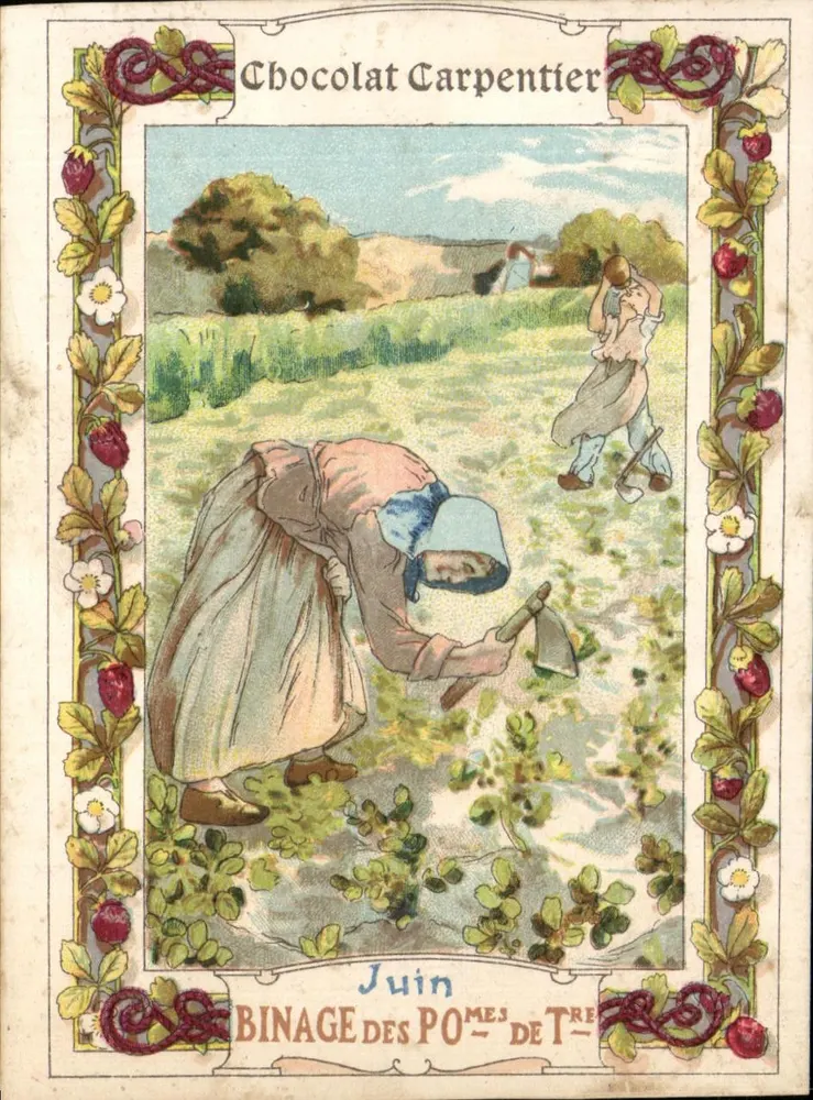 Kartoffelernte — Juni — Chocolat Carpentier - Vorderseite