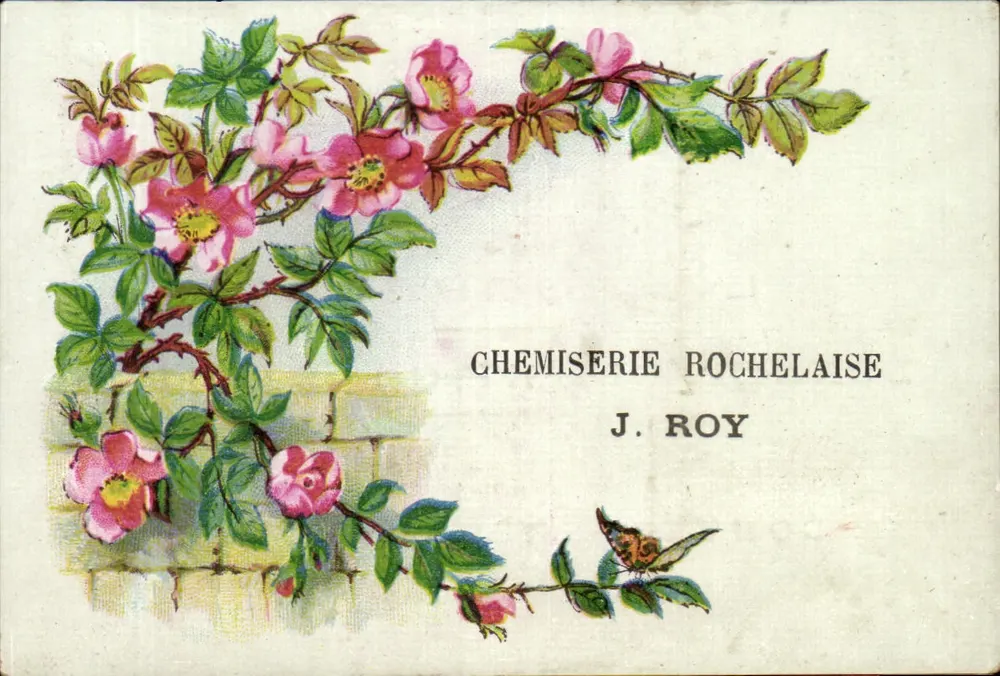 Rosengarten — Werbeansichtskarte für die Rochelaise Chemiserie J. Roy — Verlag Imp. Lessertisseux, Paris - Vorderseite