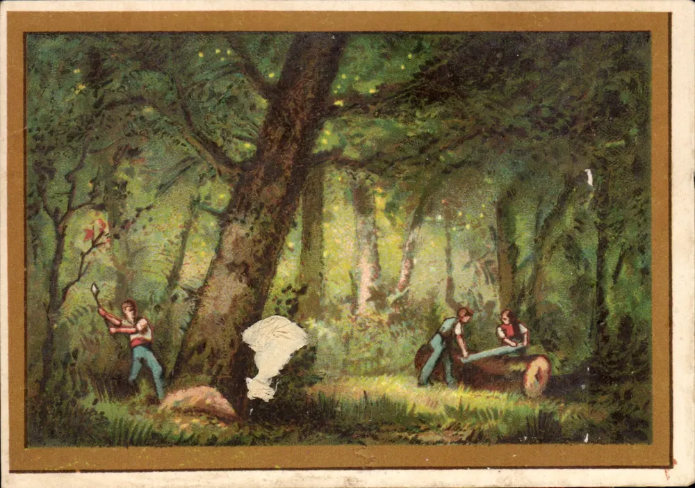 Scène de forêt — travailleurs dans un bois — éditeur non visible - Frente