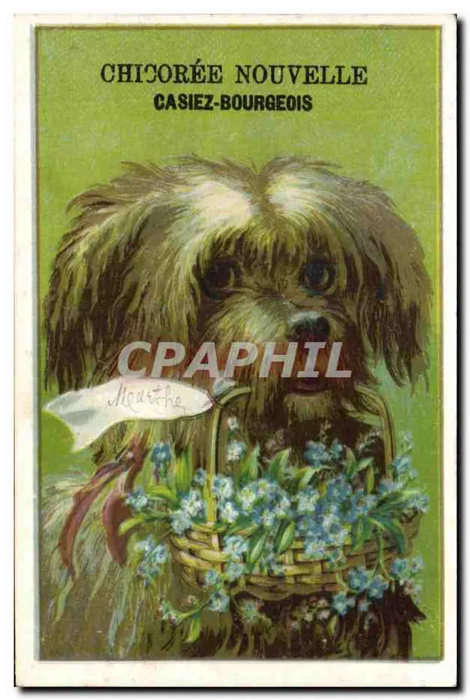 Neue Chicorée — Casiez-Bourgeois — Verlag Casiez-Bourgeois - Vorderseite