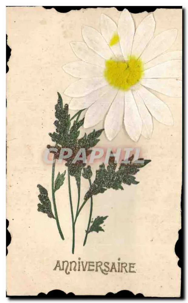 Margriet — Verjaardag — zonder uitgever of zichtbaar nummer - Voorkant