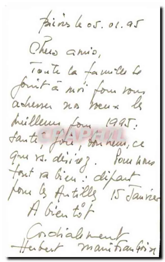 Galho de hortência — Melhores Desiderata — Carta postal - Verso