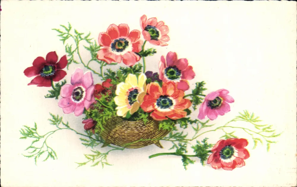 Arranjo de flores — anémonas coloridas em um cesto — Edições Superluxé-Paris - Frente
