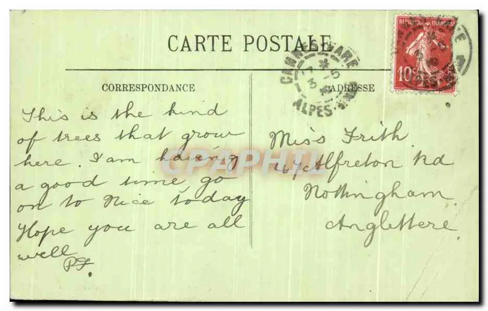 CANNES — Palmiers du Square Mérimée — LL. n° 87 - Verso
