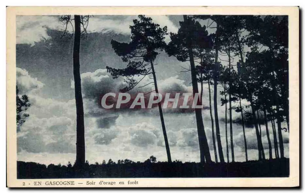 Em Gascogne — Noite de tempestade na floresta - Frente