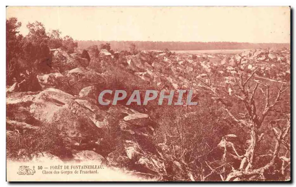 Forêt de Fontainebleau — Chaos der Gorges de Frauchard — unbekannter Verlag, Nr. 50 - Vorderseite