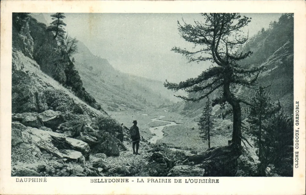 Bellefonne - Prairie de l'Oursière — Cliché Oddoux, Grenoble - Vorderseite