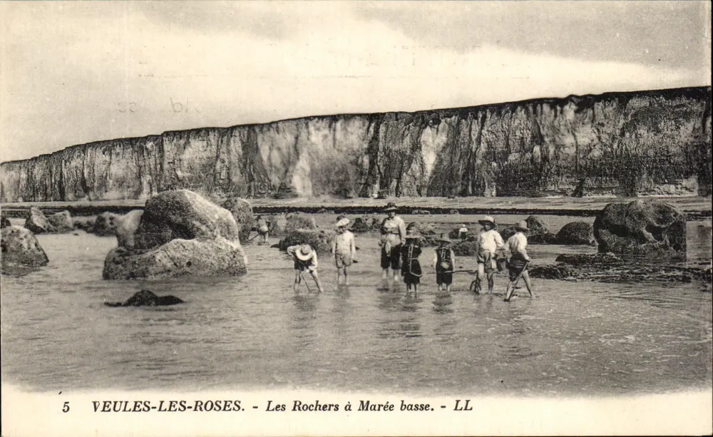 Veuves-les-Roses — Die Felsen bei Ebbe — LL - Vorderseite
