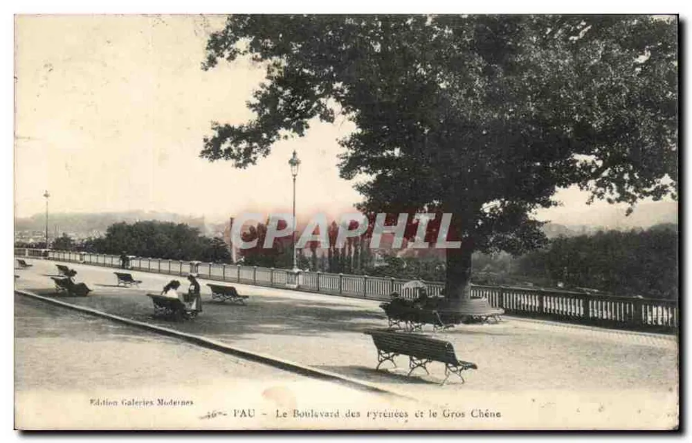PAU - Boulevard des Pyrénées und der Gros Chêne — Edition Galeries Modernes, n° 36 - Vorderseite