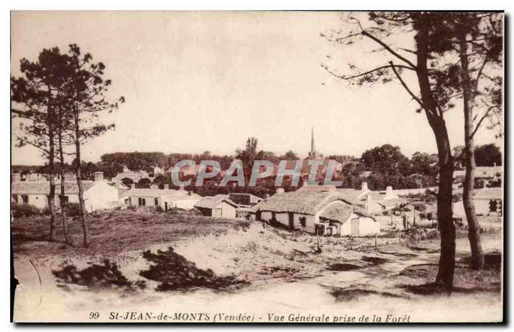 St-JEAN-de-MONTS (Vendée) — Allgemeiner Blick aus dem Wald — Verlag J. Nozais, Nr. 99 - Vorderseite