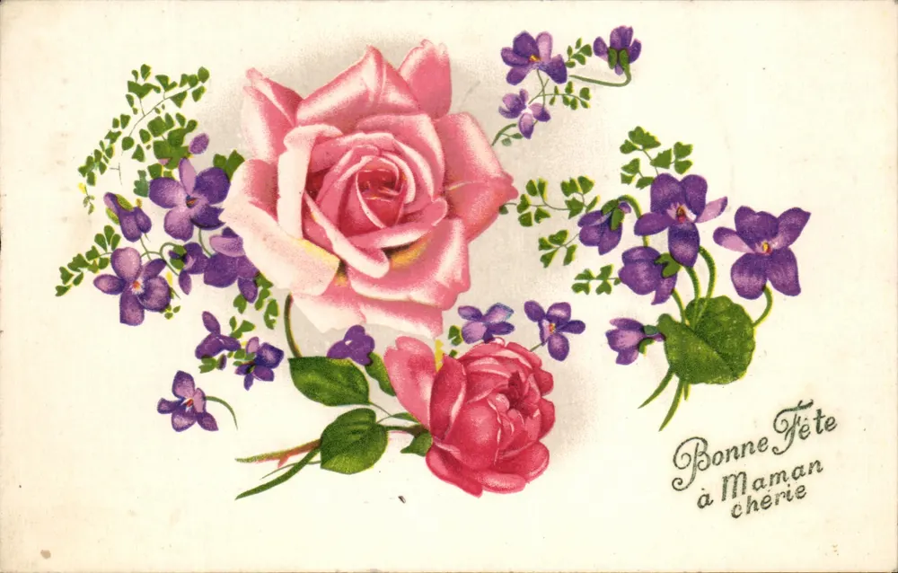 Blumen — Rose und Veilchen — Frohe Geburtstagsgrüße an meine liebe Mama - Vorderseite
