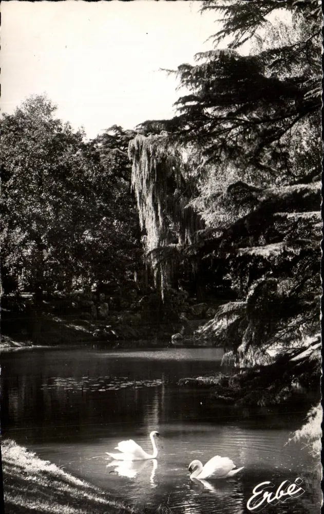 Jardin des Plantes — Nantes (Loire-Inférieure) — Éditions Erbe - Vorderseite