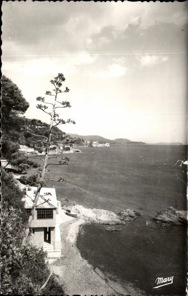 Vue de la côte — maison sur falaise avec agave — éditeur Mary - Frente