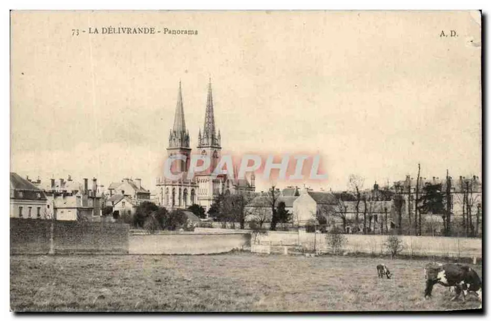 La Délivrande - Panorama — Editor A.D., n° 73 - Frente