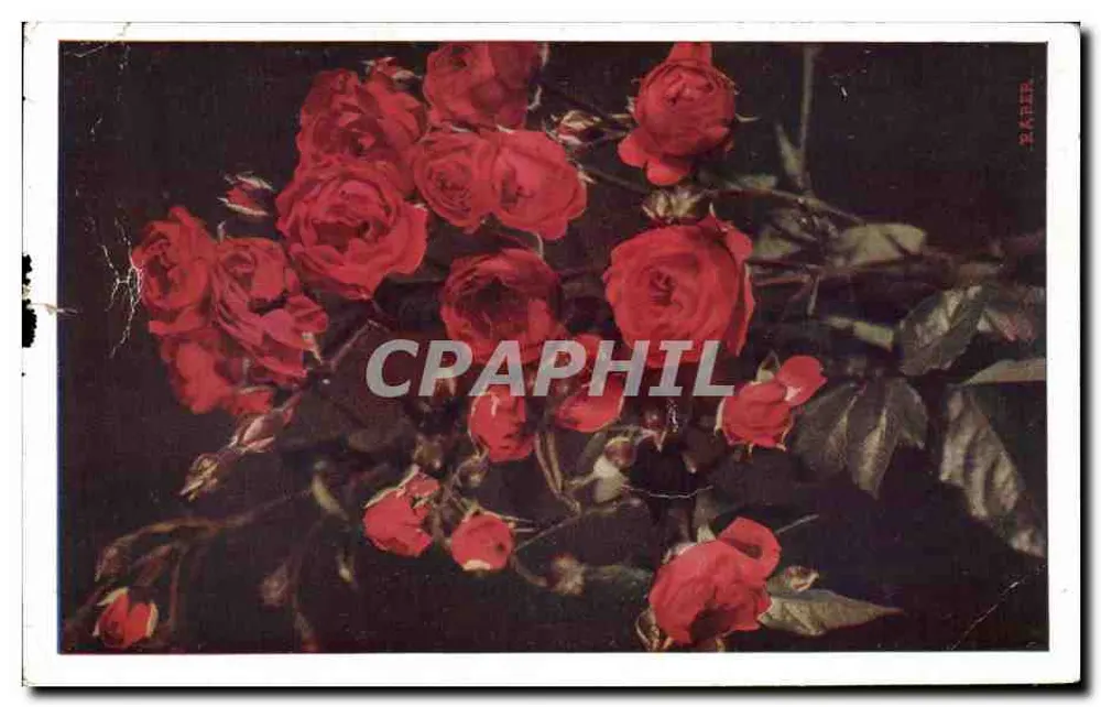 Bouquet de roses rouges — composition florale — éditeur RICKER, n°406 - Frente