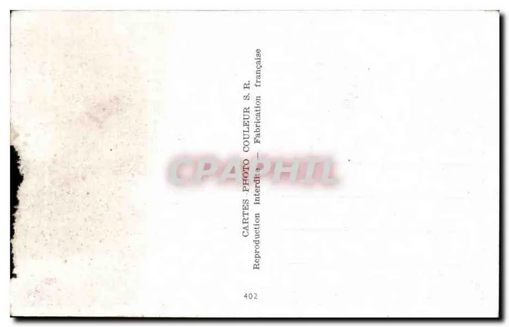 Lilas à taches rouges — fleur isolée sur fond sombre — éditeur RABER. N° 402 - Verso