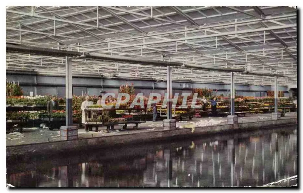 Central Aalsmeersche Vetling — Dique para plantas de bordadura com o canal de entrada — C.A.V., Aalsmeer - Frente