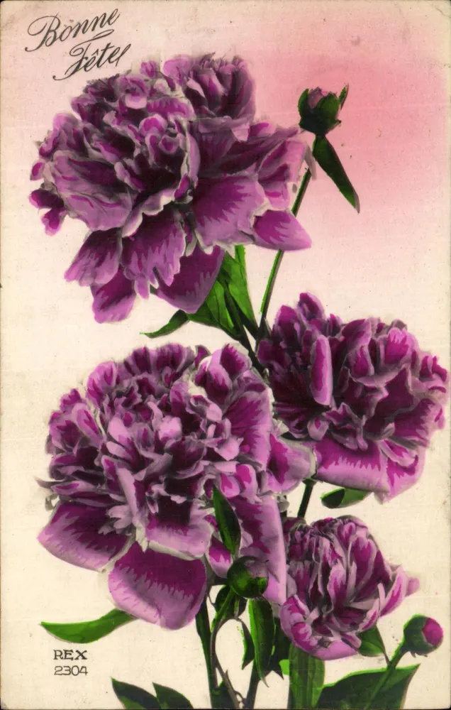 Flores de pêssegos violetas — Boa Festa — REX 2304 - Frente