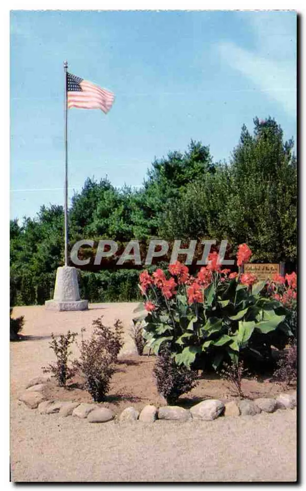 Kathedrale der Kiefern — Rindge, N.H. — Boston Natural Color Company, Inc. P25686 - Vorderseite