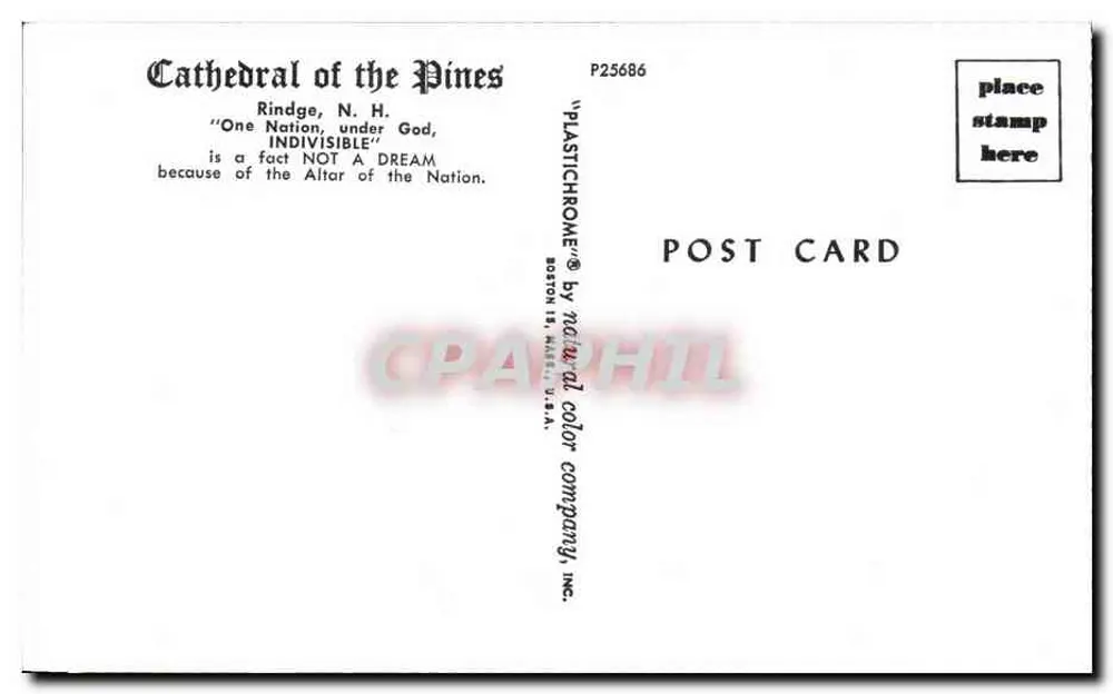 Kathedrale der Kiefern — Rindge, N.H. — Boston Natural Color Company, Inc. P25686 - Rückseite