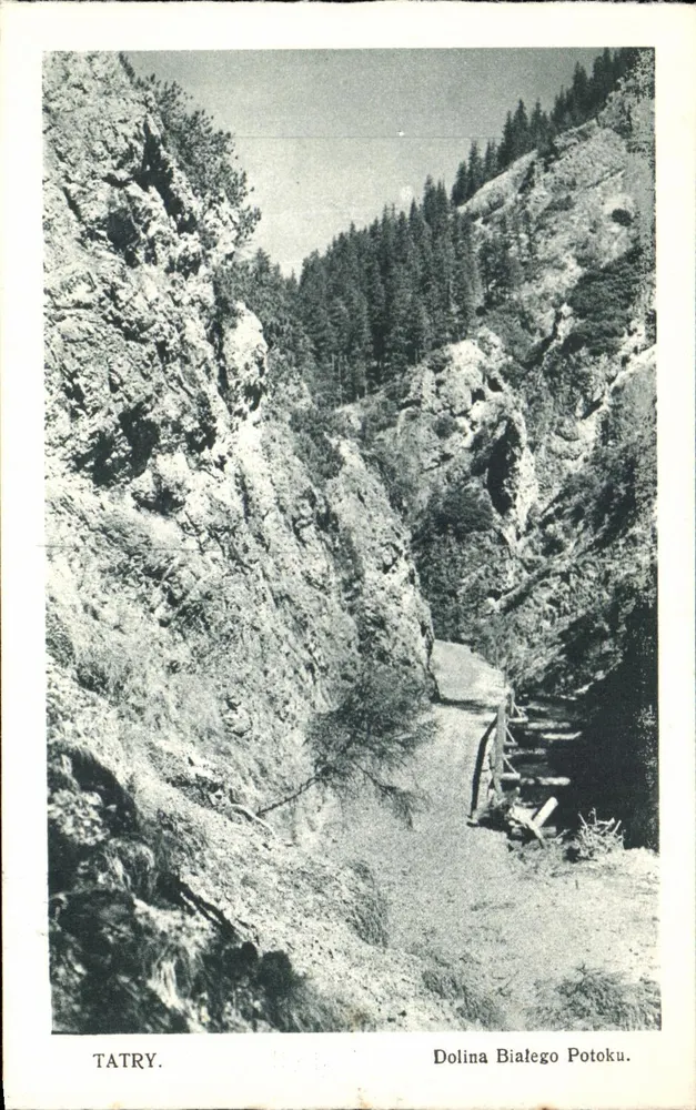 Dolina Białego Potoku — Tatry — Fot. J. Opp. - Frente