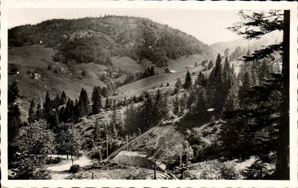 Les Rousses (Jura) — Blick auf La Roche Blanche und den Rizoux-Wald - Vorderseite