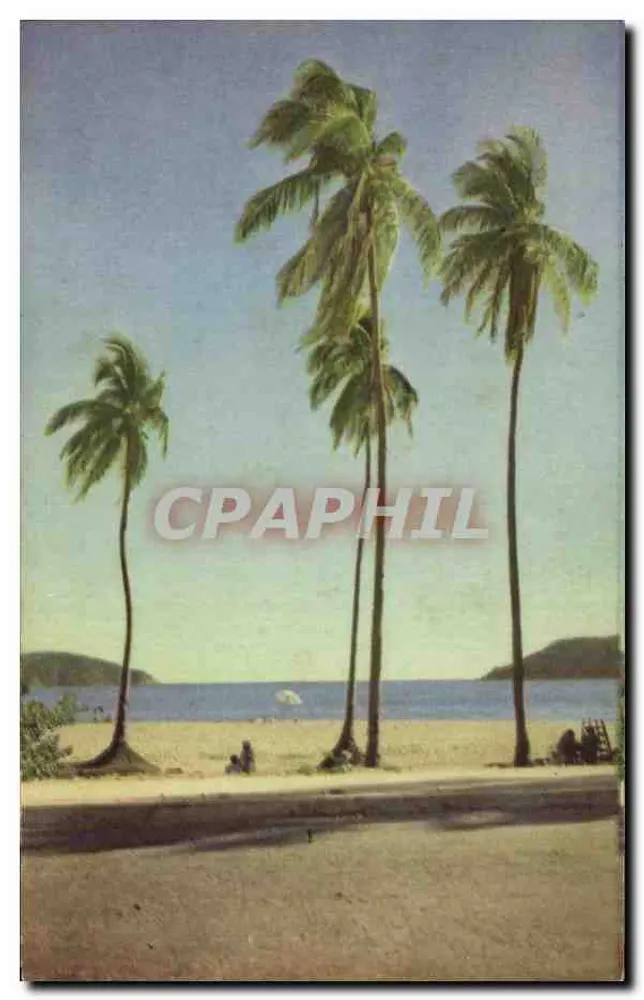 Los Hornos, Acapulco — praia com palmeiras — Editorial Fischering, México - Frente
