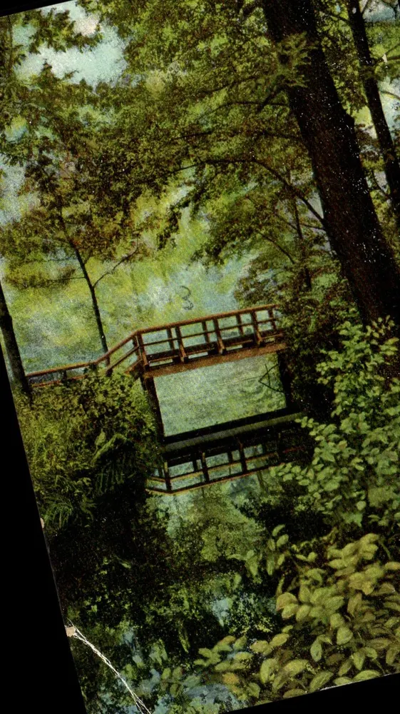 Ponte de madeira no meio de uma floresta — ilustração — Am Weiber, série 18 - Frente