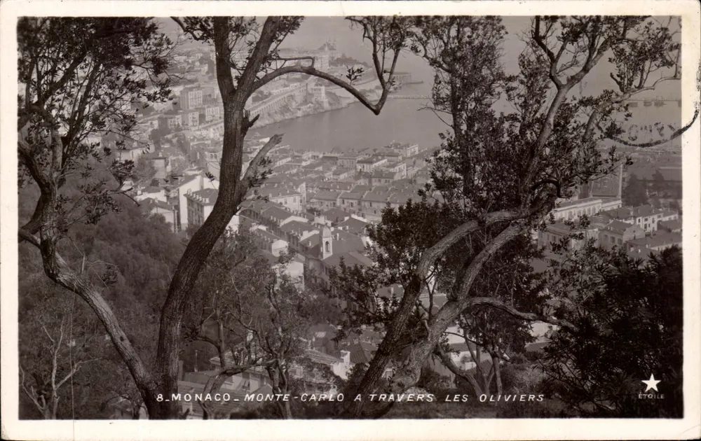 Mônaco - Monte-Carlo através dos oliveiros — Étoile, n°8 - Frente