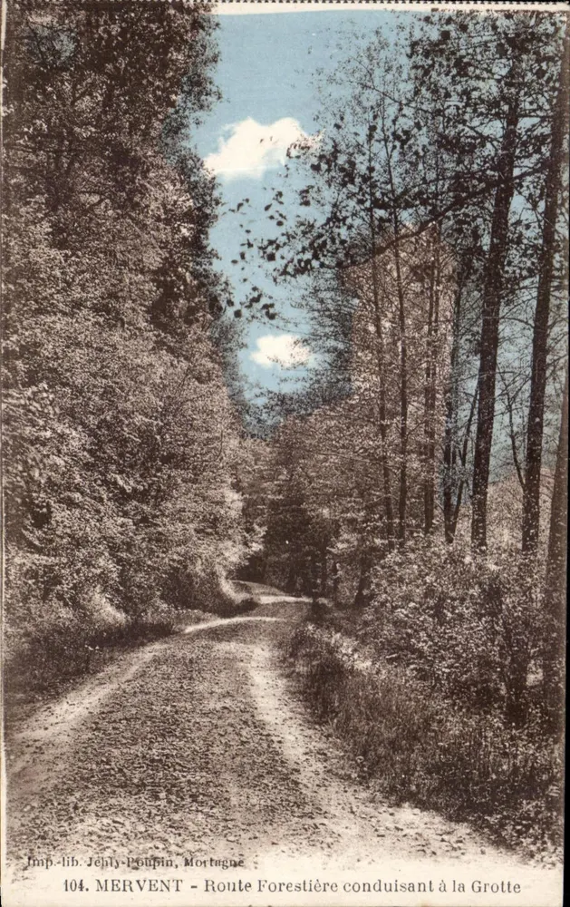 Mervent - Waldstraße führend zu der Höhle — Imp-lib. Jéhly-Poupin, Mortagne, n°104 - Vorderseite