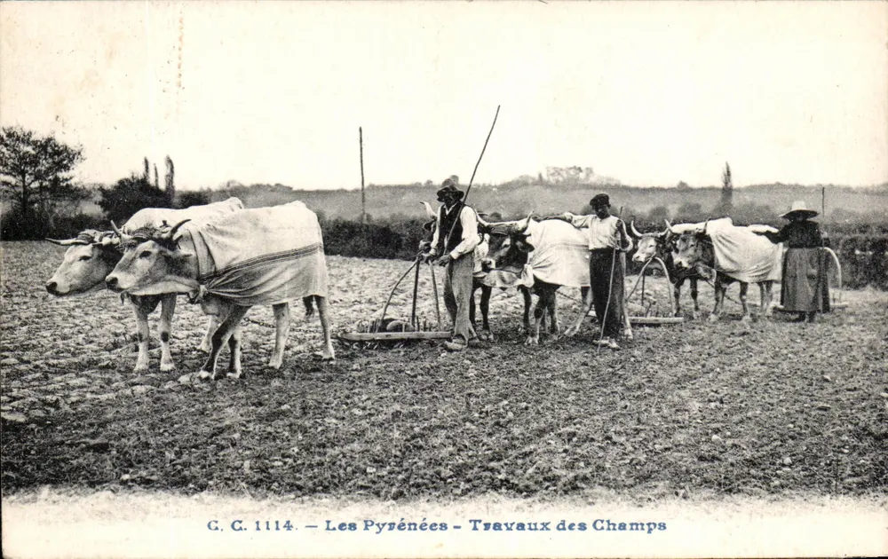 Die Pyrenäen — Feldarbeit — C.C. 1114 - Vorderseite