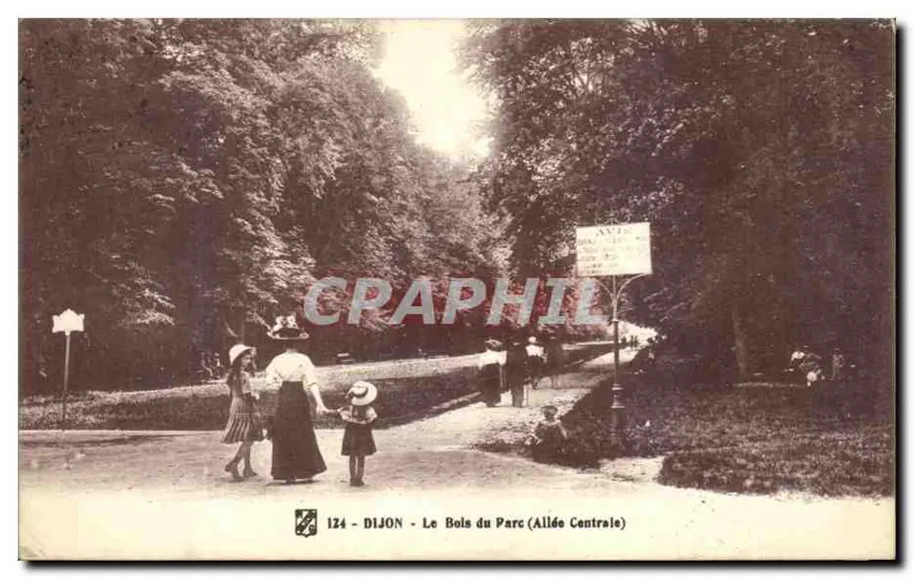Dijon - Der Park (Hauptallee) — Antike Ansichtskarte Nr. 124 — Verlag nicht sichtbar - Vorderseite