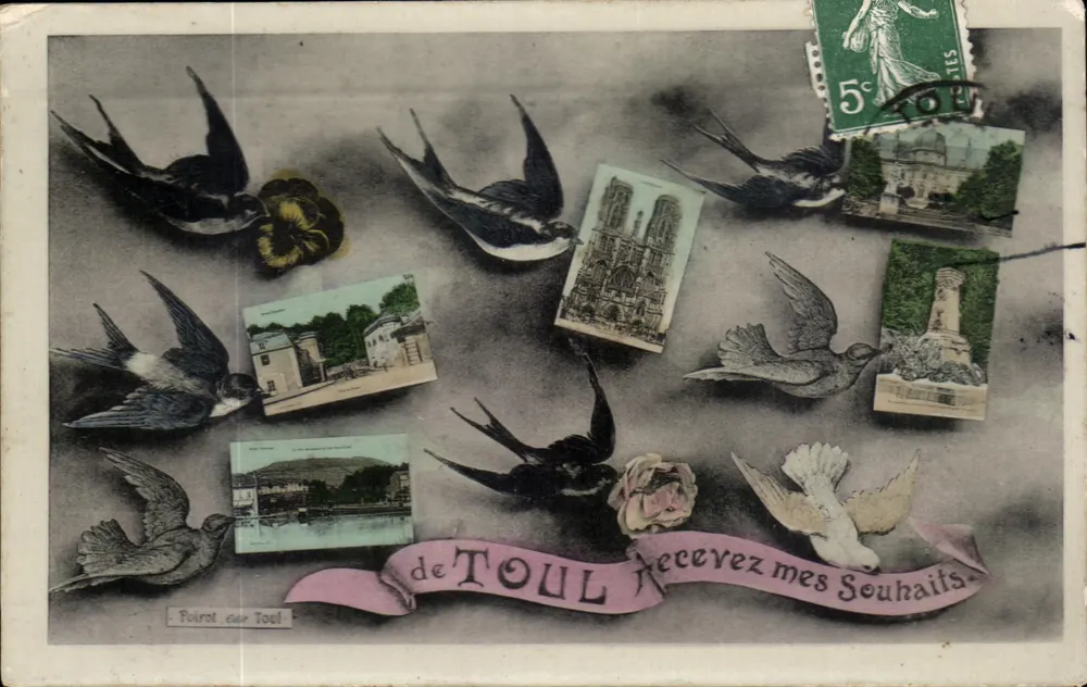 Oiseaux et souvenirs de Toul — éditeur Poirot, sur Toul - Frente