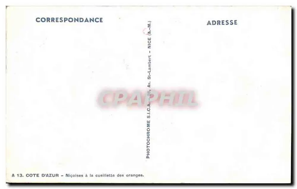 Niçoises beim Orangensammeln — Photochrome S.I.C.A. — Nr. 13, Côte d'Azur - Rückseite