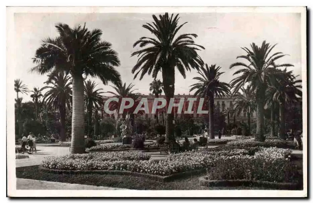 Jardim Botânico de Nice — vista de palmeiras e lagos — edição La Cigogne, Nice - Frente
