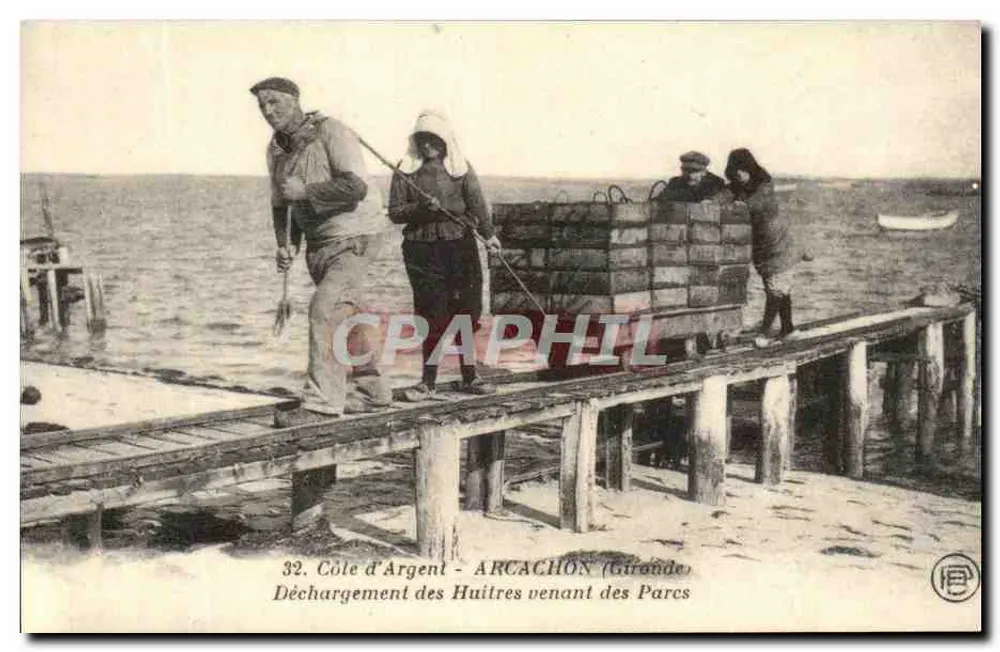 Arcachon (Gironde) — Ausladen der Austern aus den Parks — Verlag C.E.E. Nr. 438 14 - Vorderseite
