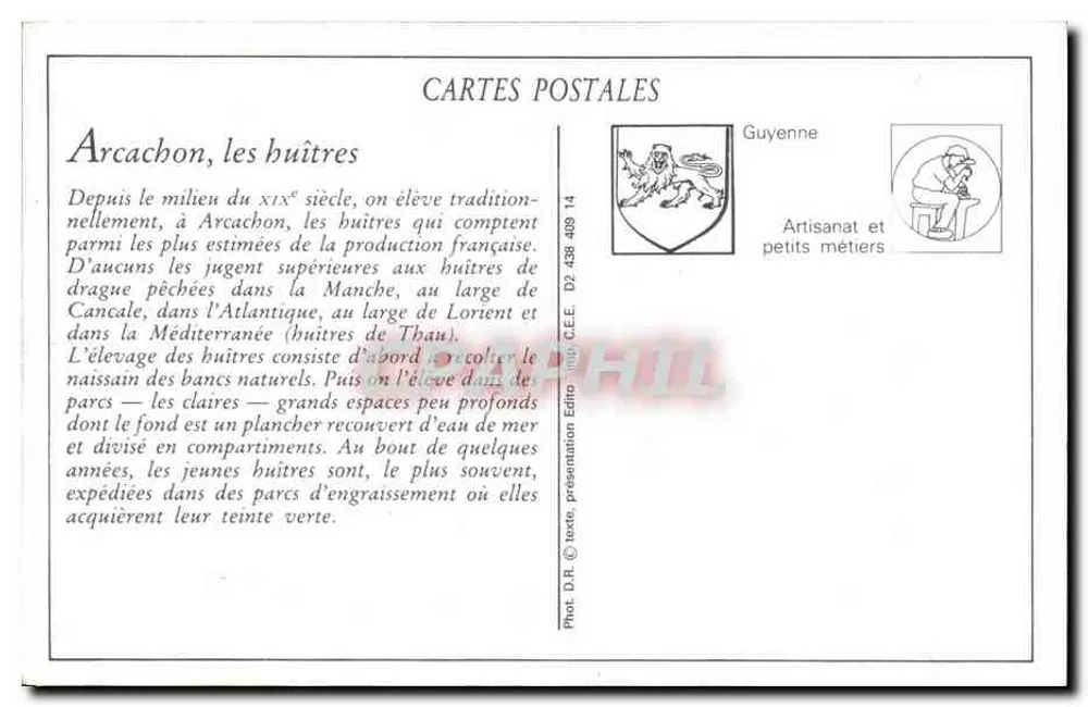 Arcachon (Gironde) — Ausladen der Austern aus den Parks — Verlag C.E.E. Nr. 438 14 - Rückseite