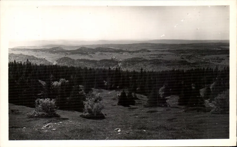 Ausblick auf die Jura-Kette — Le Mont-Rond — Éditions d'Art B. Laîntieu, n°451 - Vorderseite