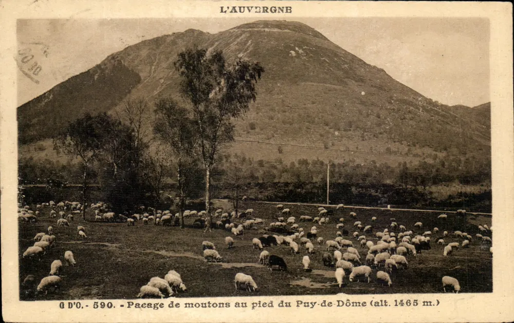Schafweide am Fuße des Puy-de-Dôme (Höhe 1465 m.) — Auvergne — J. Goutteanges, Verlag (P.-A.-D.) - Vorderseite